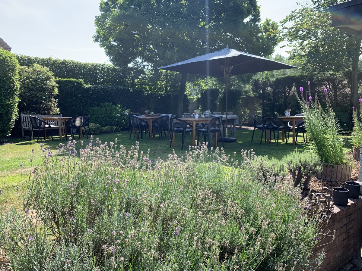 Tuin met lavendel en zitplaatsen bij feestzaal De Sterre te Deinze